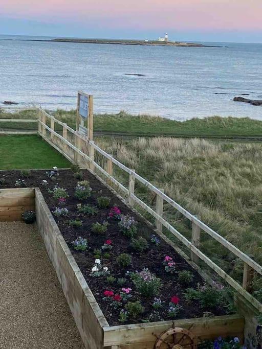 Signal House - A Stunning Beach House - 2020 Build Amble Exterior foto